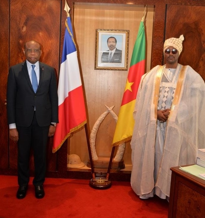 © Gabriel Pileuk Djomo