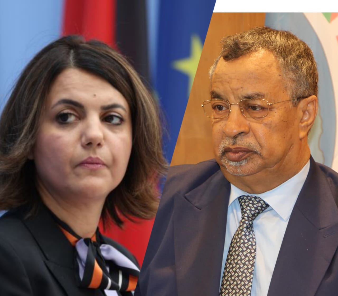 Convergence de vues entre Tripoli et N'Djamena concernant la situation au Niger