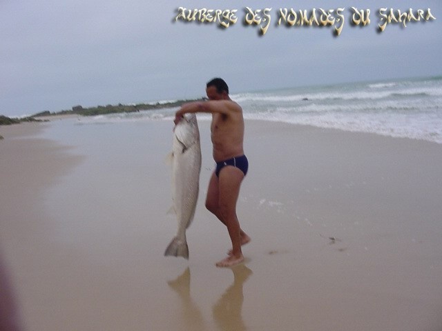 Le Forum Crans-Montana : Dakhla, Perle des vents, à l'honneur