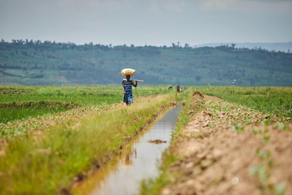 Congo : développer les infrastructures durables et améliorer la gouvernance économique sont les priorités