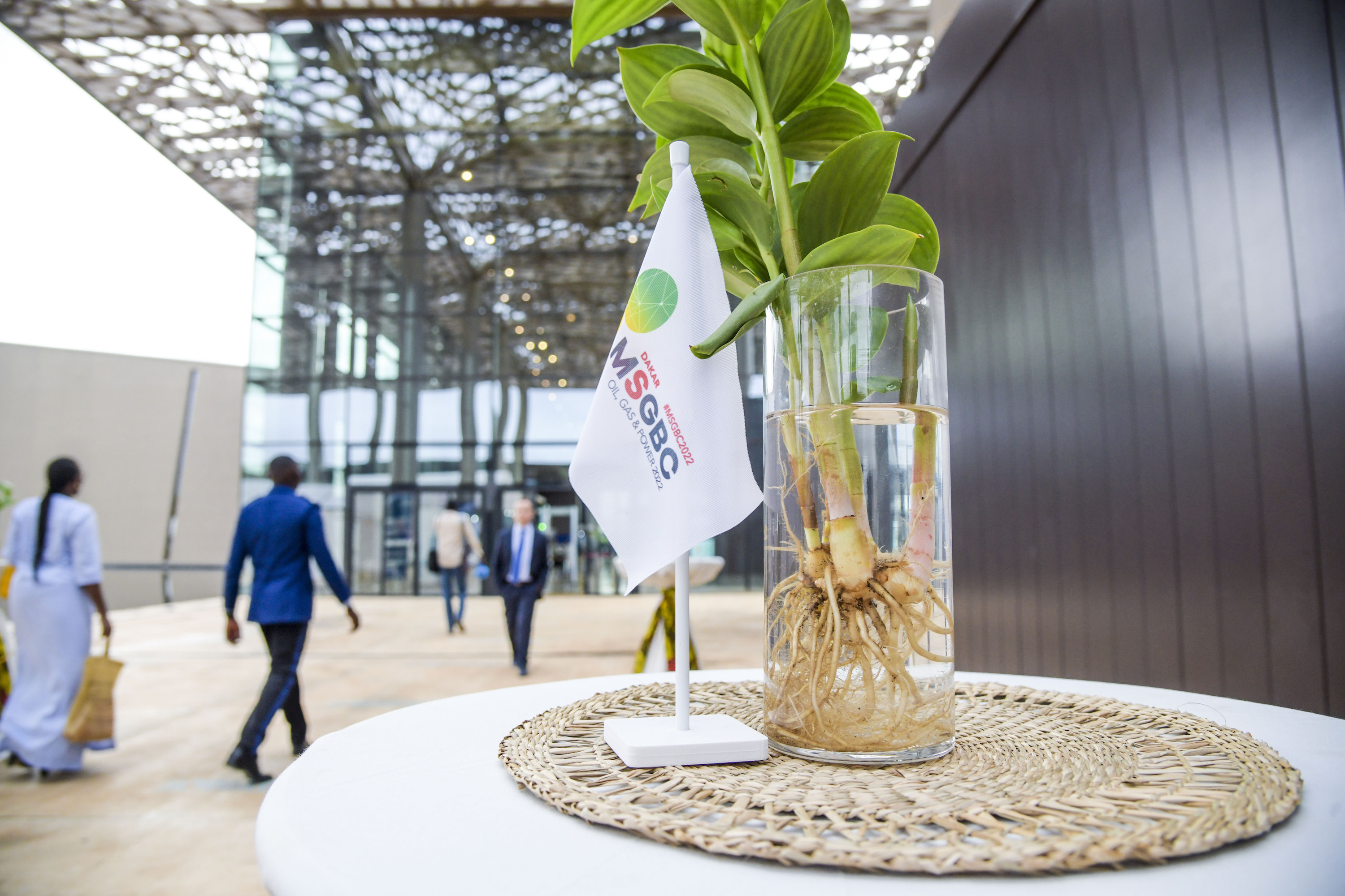 Afrique : Le panel sur les finances et le gouvernement révélera des informations clés lors du MSGBC Oil, Gas & Power 2023