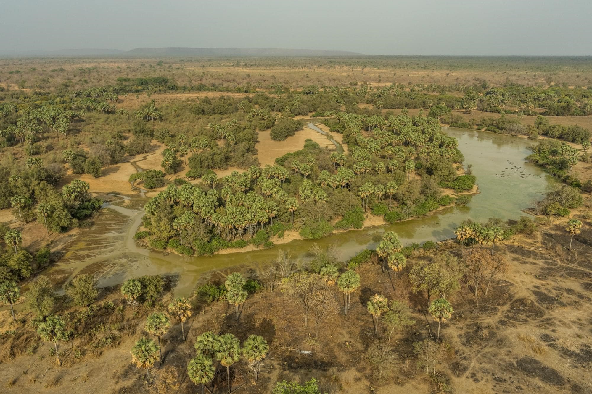 Tchad - Zakouma: un paradis naturel à découvrir