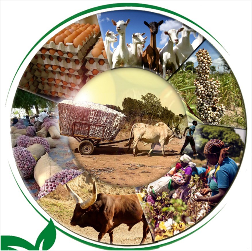 Cameroun : Garoua accueille le salon sous-régional des industries et techniques agro-pastorales