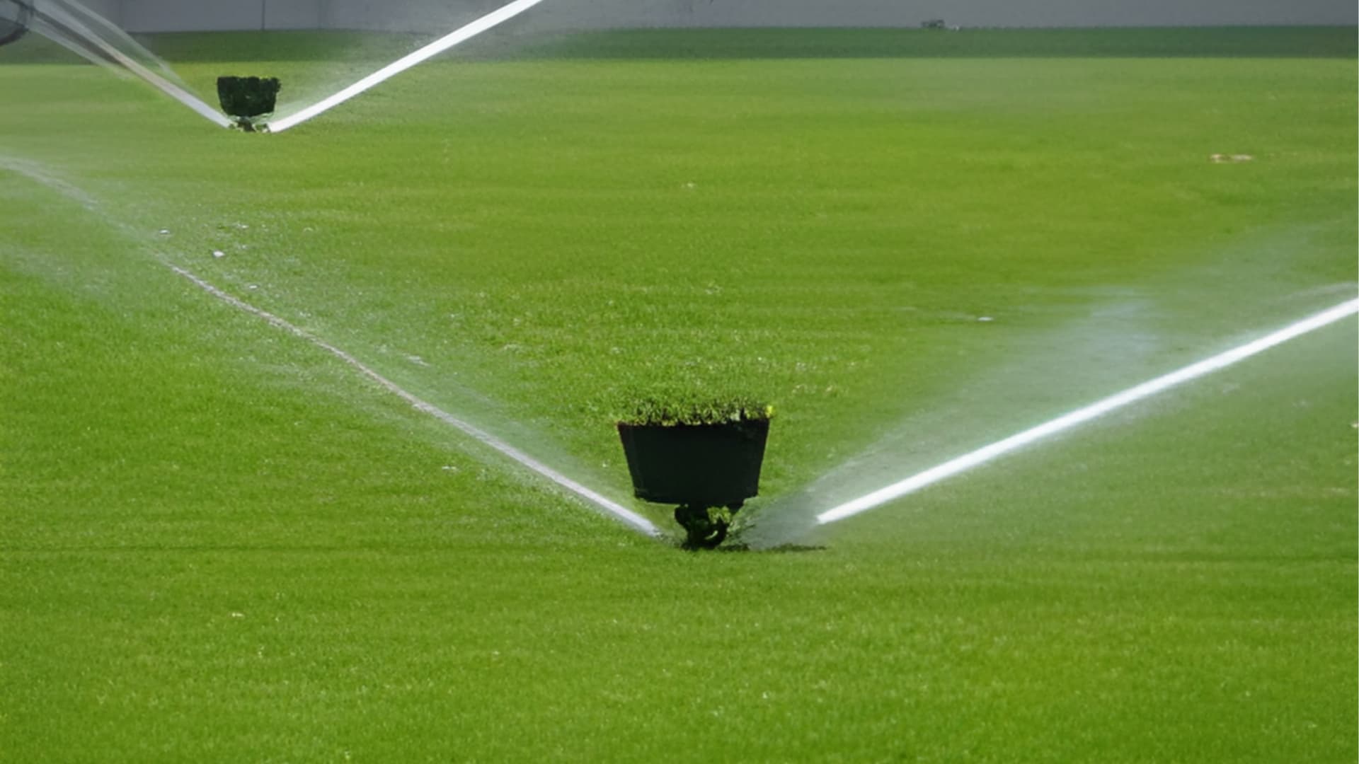 Cameroun : une agence de jardinage moderne promeut la protection de l’environnement