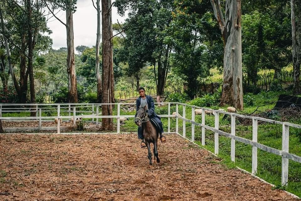 Cameroun - Le Ranch de Ngaoundaba: Un havre de paix en plein cœur de la région de l’Adamaoua