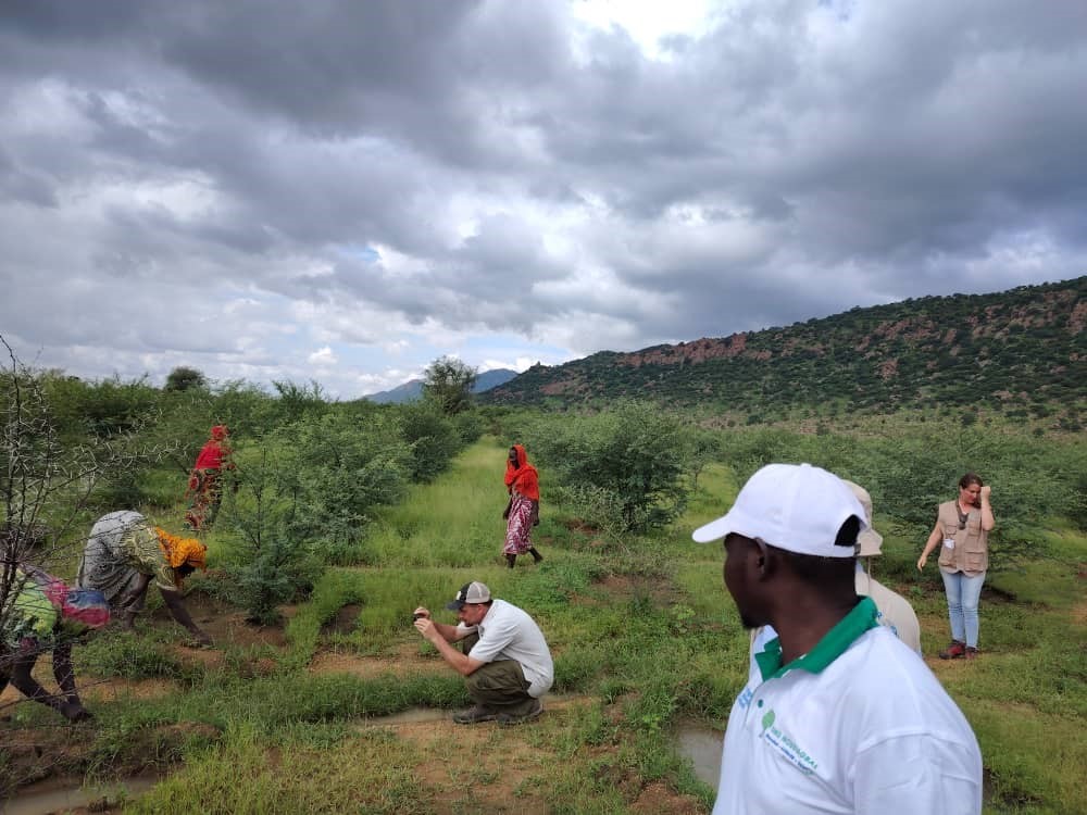 Images : Asma WFP Chad
