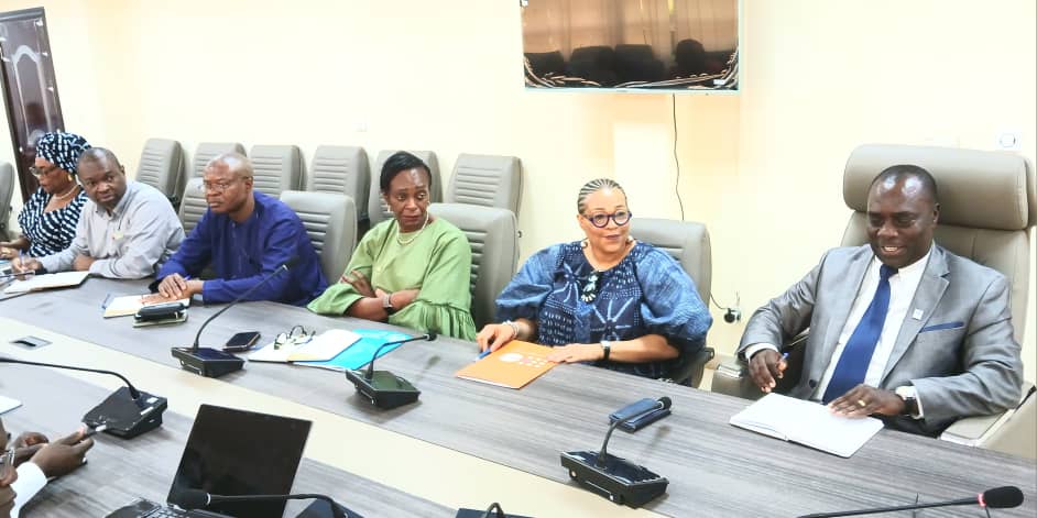 Tchad : Une collaboration renforcée entre le gouvernement et l’ONU pour lutter contre la forte mortalité maternelle