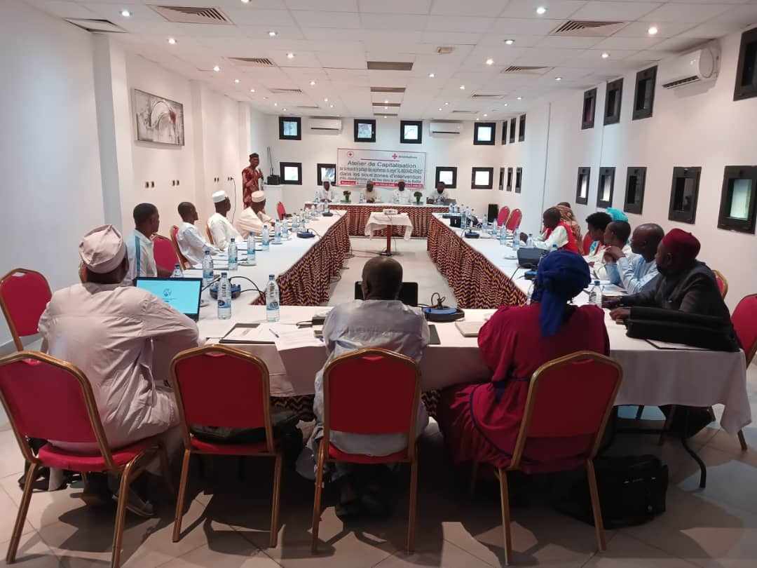 Tchad : atelier de capitalisation des résultats d'évaluation du projet migration de la Croix-Rouge