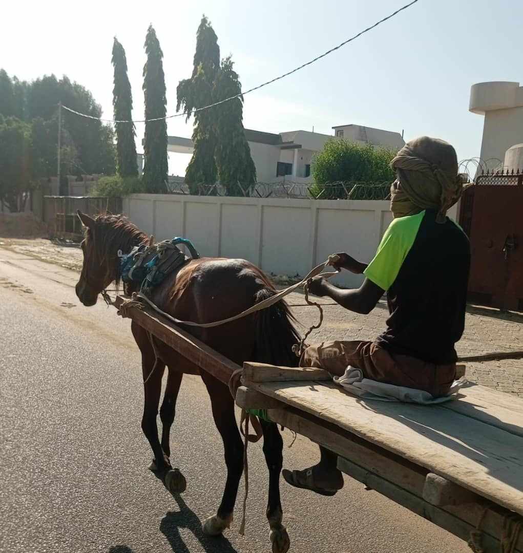 Tchad : éducation ou survie, le dilemme des enfants travailleurs