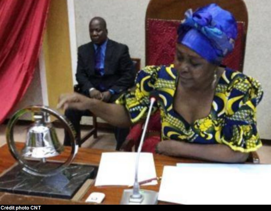 Centrafrique : Elections, les drôleries d'une république bananière