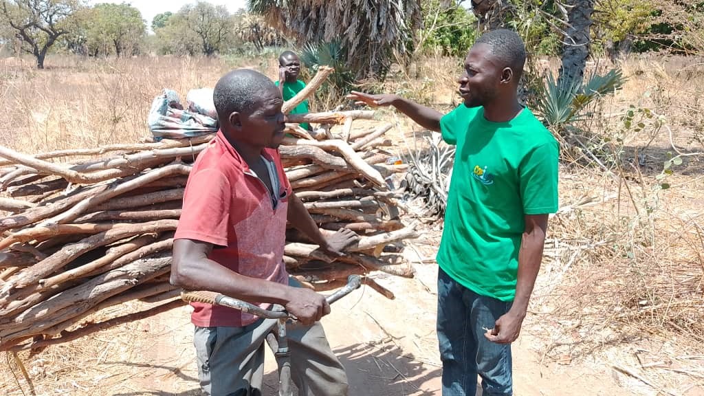 Tchad : Le COPIDEV se Mobilise pour la Préservation des Forêts à Sarh