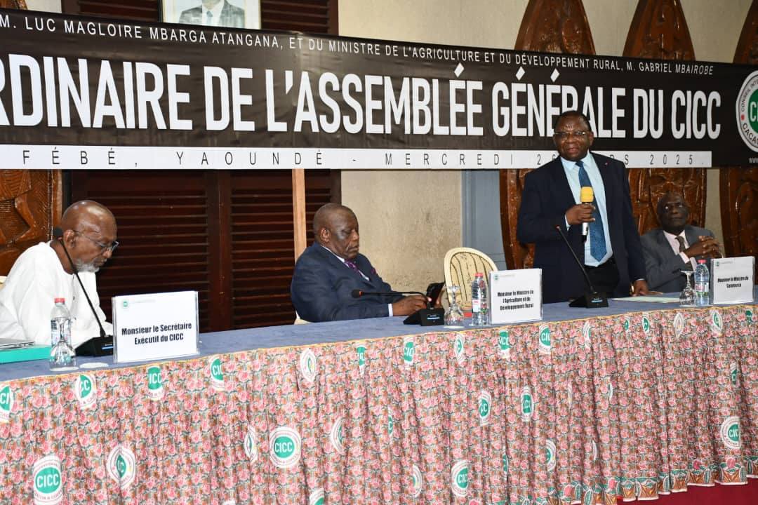 Cameroun : dans la filière cacao-café, le pays ambitionne de se maintenir au sommet de la pyramide