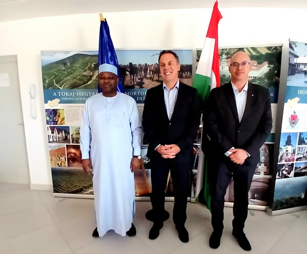 Tchad : Le maire de N'Djaména reçu par le chargé d'affaires de l'ambassade de Hongrie
