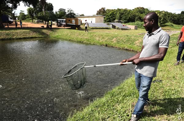 Pêche, aquaculture et élevage en Côte d'Ivoire : le ministre Sidi Tiémoko Touré invite les jeunes à s'intéresser à ce secteur plein d'avenir