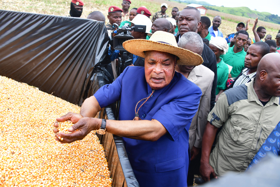 Denis Sassou N'Guesso touchant du doigt le mais récolté