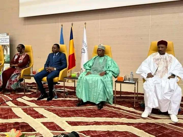 Tchad : ouverture de la 28ème réunion internationale des programmes nationaux sur le ver de Guinée