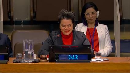 Mme Catharina Jannigje Lasseur lors de l'élection du président et des membres du Bureau de la 58ème session de la Commission de la population et du développement, en mai 2024. Photo : media.un.org