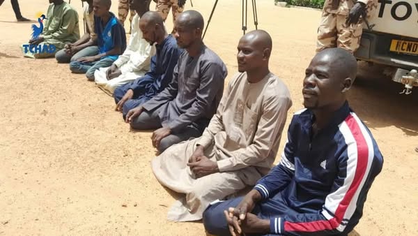 Tchad : Arrestation de présumés braconniers de Rhinocéros Noirs à Zakouma