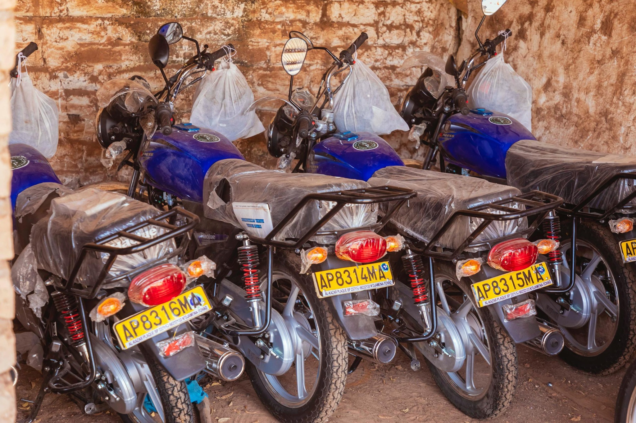 Tchad : Mesures drastiques pour gérer le conflit homme-faune dans la Tandjilé