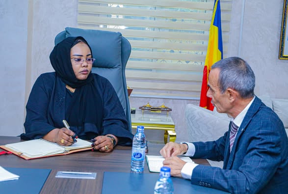 Tchad : Rencontre entre la Ministre de l'Action Sociale et la Délégation du CICR