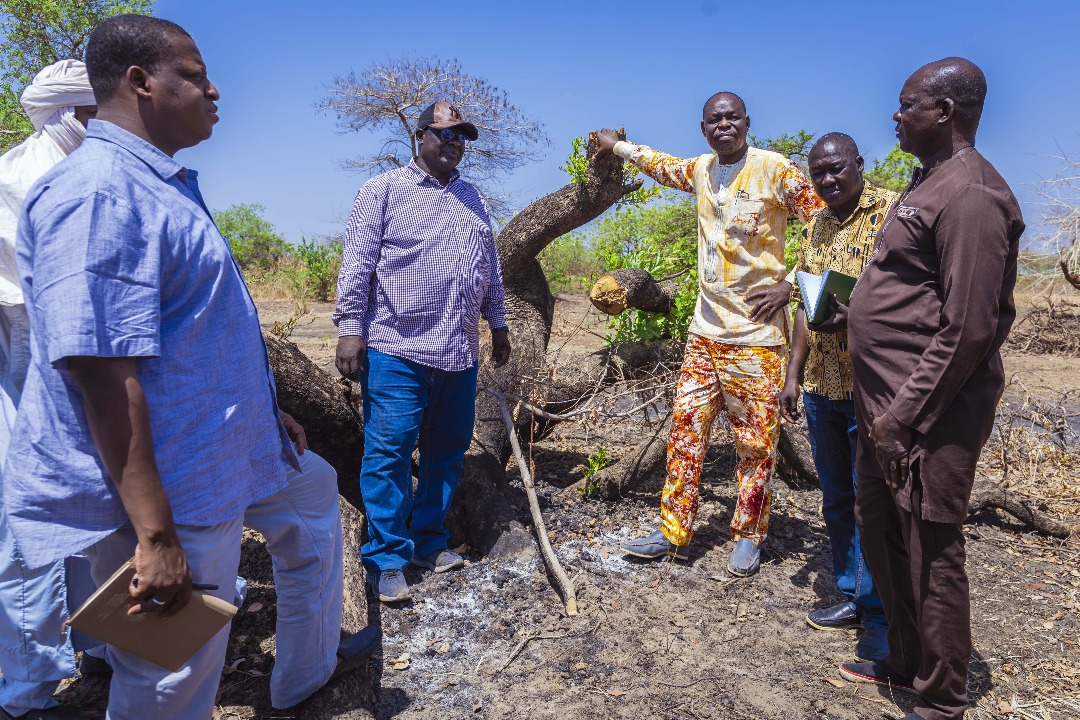 Tchad : Destruction massive d'arbres sur le site pétrolier de Cécilia - Le Ministère de l'Environnement saisit la justice