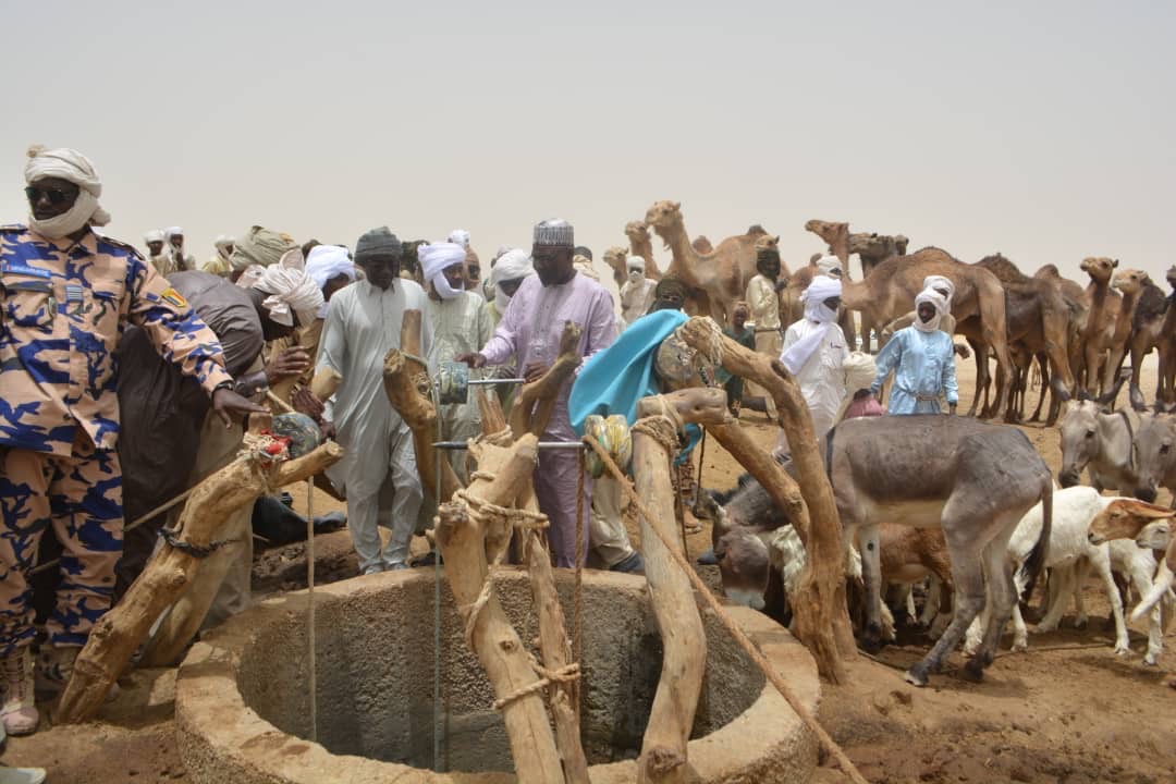 Tchad - Urgence sanitaire à Yiga Droussa : Analyse de l’eau après une mortalité alarmante de dromadaires