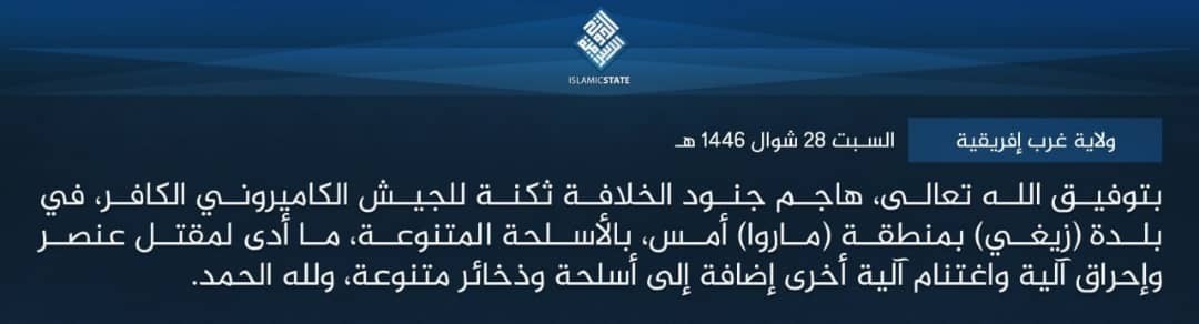 Cameroun : Daesh revendique une attaque contre l'armée camerounaise à Zigué dans le Lac Tchad