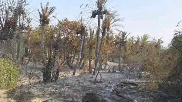 Tchad : Incendie à Mao détruit des cultures dans le Ouadi de Djougou
