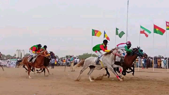 Cameroun - Succès du Grand Prix International Équestre à Maroua : Une vitrine régionale de la tradition hippique