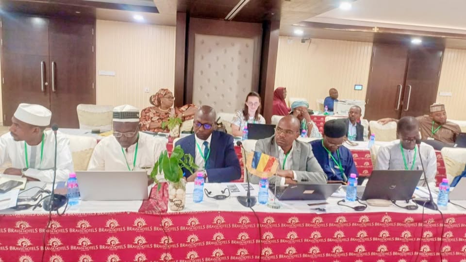 Tchad : Engagement pour la gestion Durable du Bassin du Niger