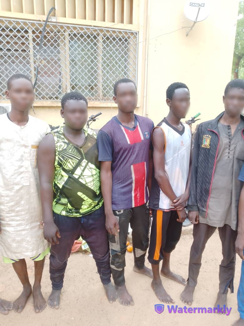 Cameroun-Region du Nord : La Sûreté Nationale multiplie les opérations coup de poing et des descentes de police