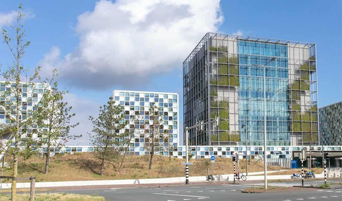 La CPI prise en otage : pour une sortie honorable de la crise entre Washington et La Haye