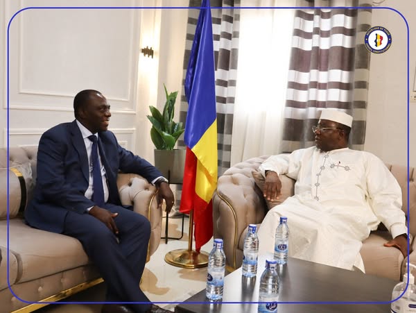 Tchad : Le Conseil Constitutionnel et l'ONU discutent des progrès démocratiques et de la décentralisation