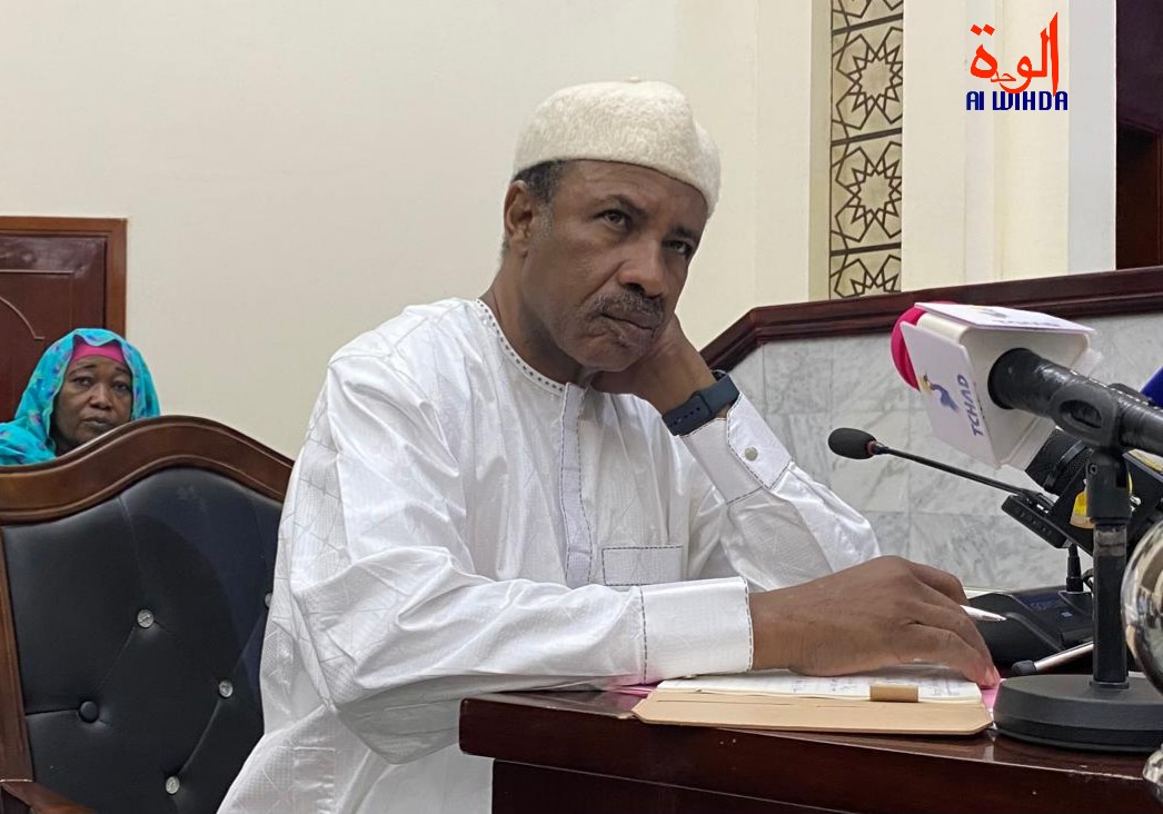 Tchad : Un Ordre National des Sages-Femmes et Maïeuticiens en vue pour renforcer la santé maternelle et infantile