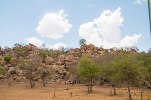 Image et Info : ONPTA