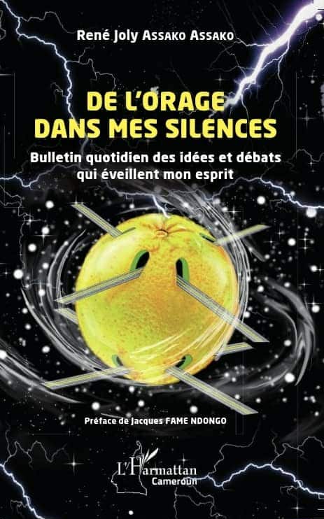 Professeur René Joly Assako Assako :  dans l’orage de ses silences