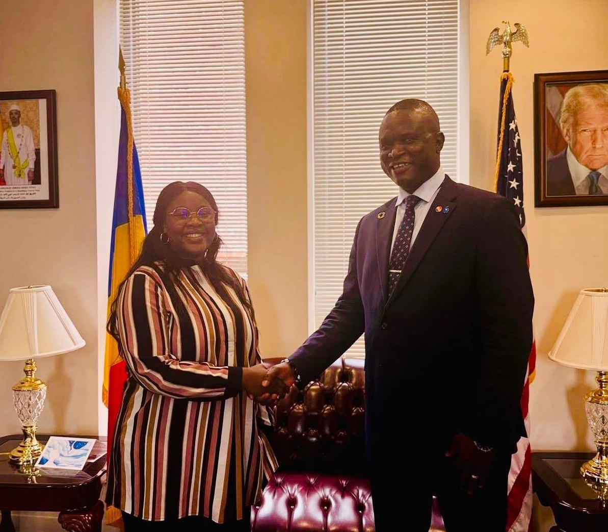 Audience : le représentant du CESCE en Amérique du Nord reçu par l’ambassadrice Léonie Kitoko Gata Ngoulou