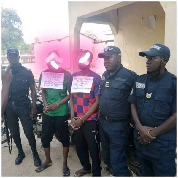 Cameroun : Un gang de braqueurs démantelé à Moulvoudaye  dans l'Extrême-Nord