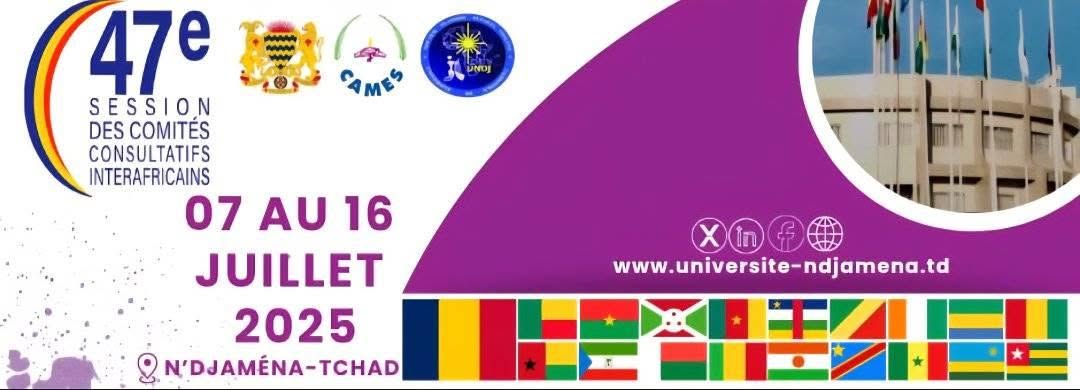 Tchad : N'Djaména prête pour la 47e session des Comités Consultatifs Interafricains du CAMES