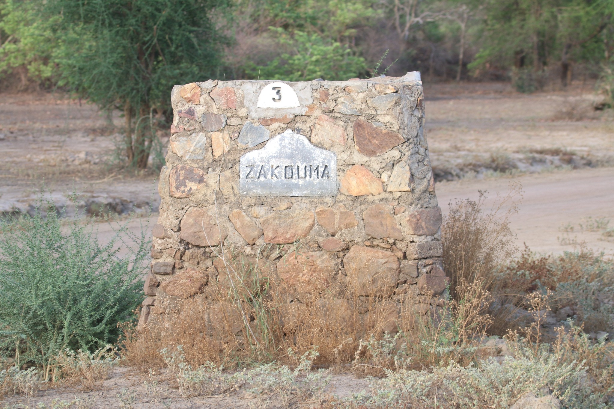Tchad - Tourisme / Les babouins de Zakouma : Des rencontres insolites et divertissantes au cœur du parc national