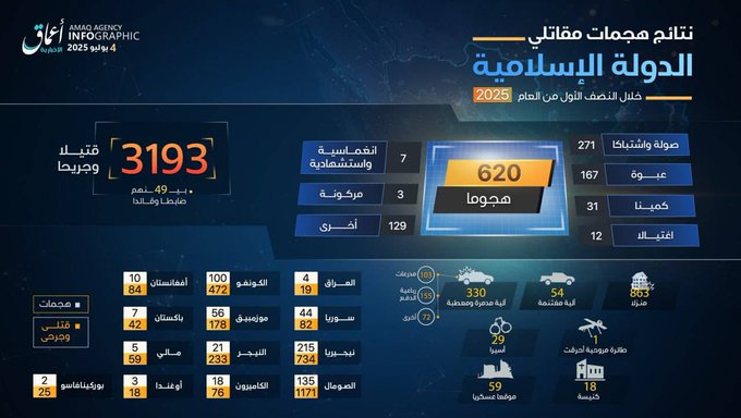 Lac Tchad : L'ISWAP revendique un bilan élevé d'attaques au premier semestre 2025