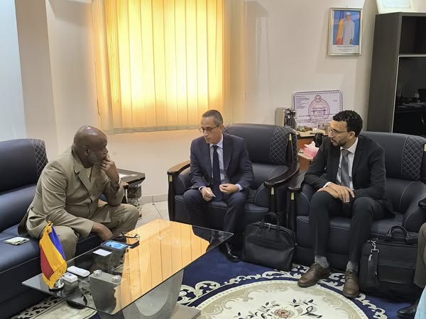 Tchad : Le Ministre de l'Aménagement du Territoire reçoit le DG d'ETAFAT pour le projet PILIER