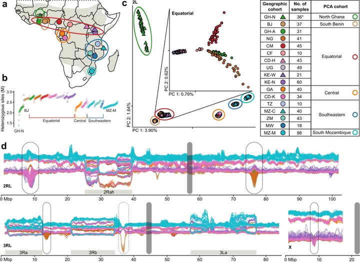 Image : L’Institut Pasteur de Bangui