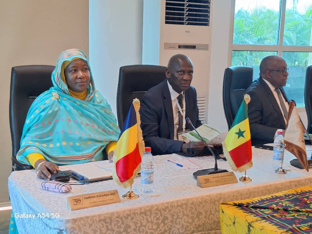 Afrique : les régulateurs face aux défis du numérique en période électorale