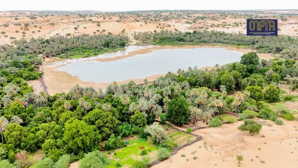 Image et Info : ONPTA