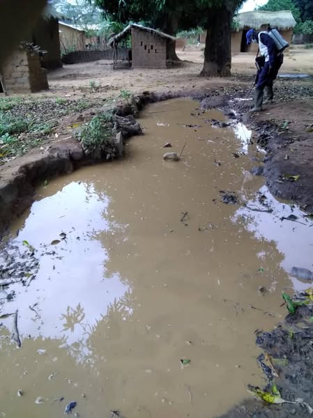 Centrafrique : À Batangafo, l'Institut Pasteur et MSF luttent contre le paludisme avec une approche innovante