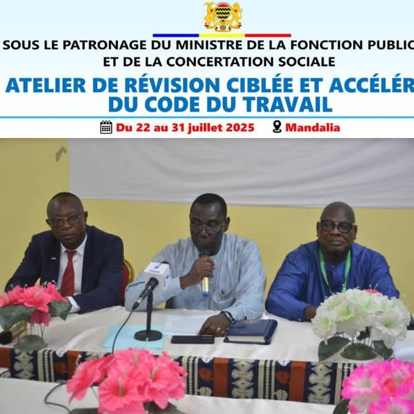 Tchad : Le code du travail en cours de révision pour s'adapter aux évolutions sociales et économiques