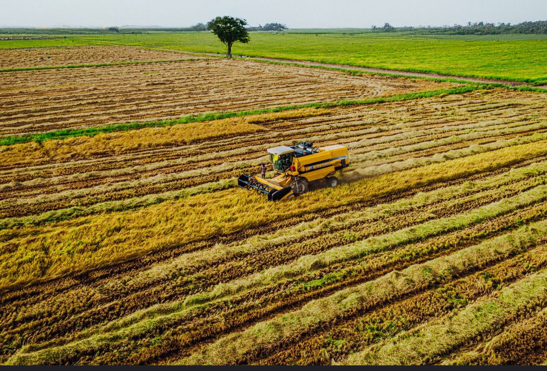 Nigeria : participation de la BAD à la cérémonie inaugurale de la zone spéciale de traitement agro-industriel dans l’État d’Oyo
