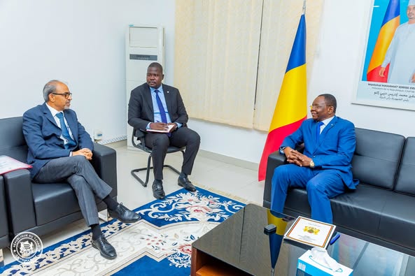Tchad : Le Premier Ministre reçoit le PDG d'Airtel Africa PLC