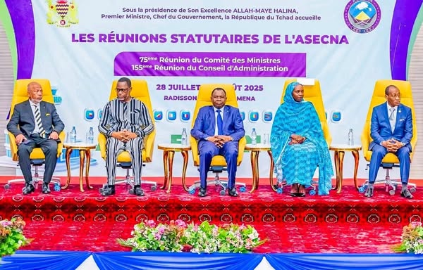 Tchad : N'Djamena accueille les réunions de l'ASECNA